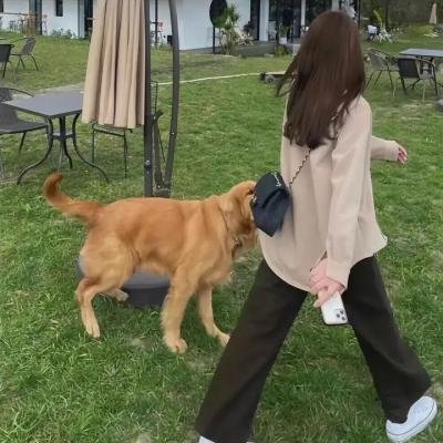 树下惊魂
