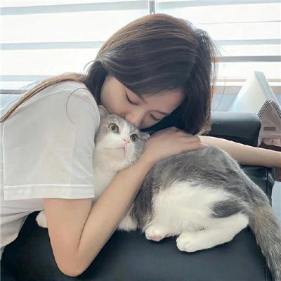 正义小包公